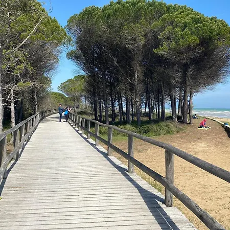 Peaceful Few Steps From The Center דירה ביביונה